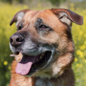 DENVER-3-e1640199394836