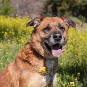 DENVER-4-e1640199544113