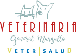 Clinica veterinaria General Margallo