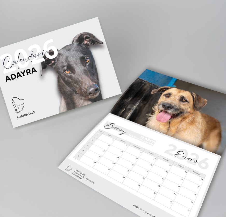 CALENDARIO SOLIDARIO ADAYRA 2026