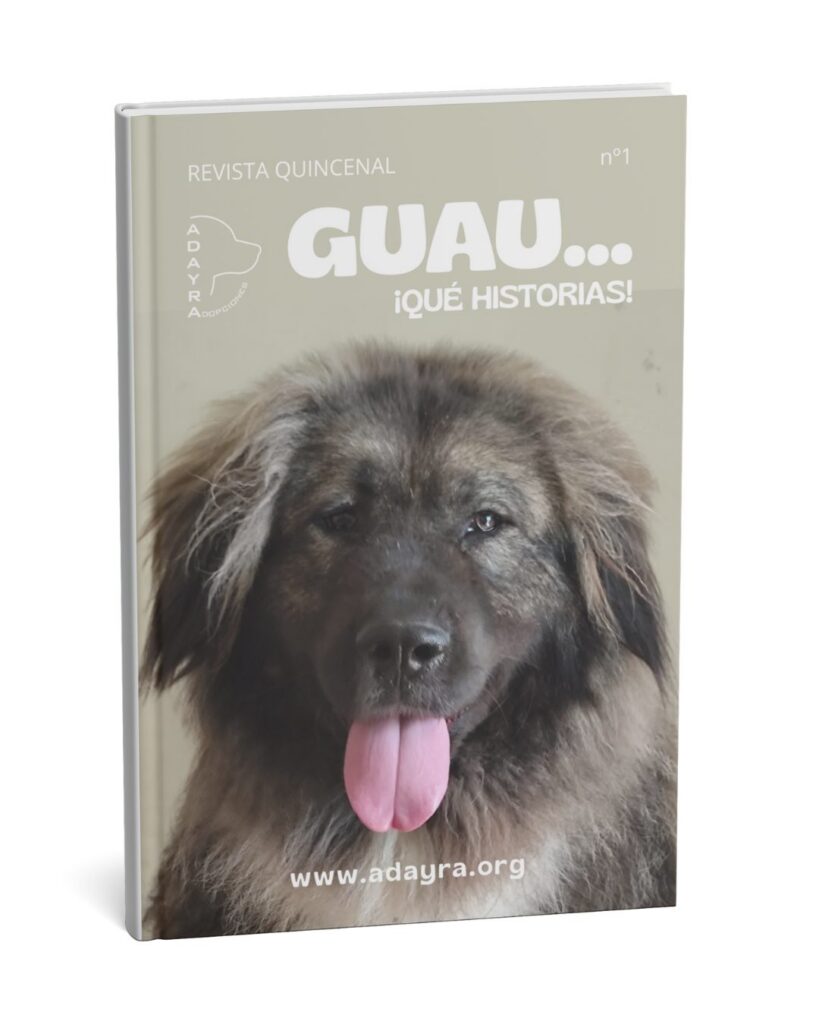Portada revista guau que historias
