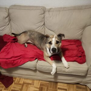 ARYA-3-e1641327853928