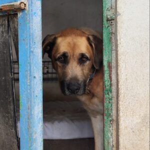 Barry-2-e1728653508718