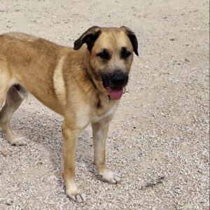 Barry-3-e1728653536533