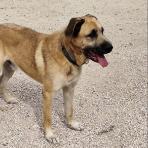 Barry-4-e1728653563887