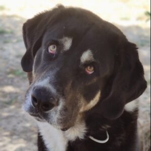 Billy-2-e1683807820692