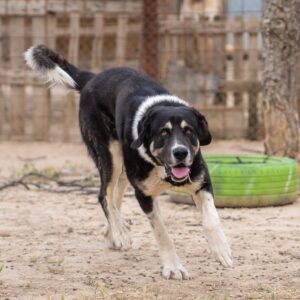 Billy-4-scaled-e1683842583638