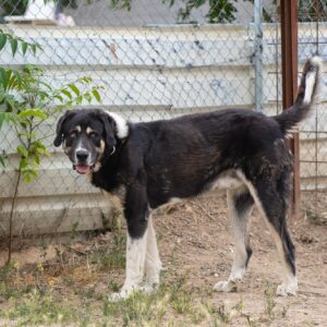 Billy-5-scaled-e1683842833875