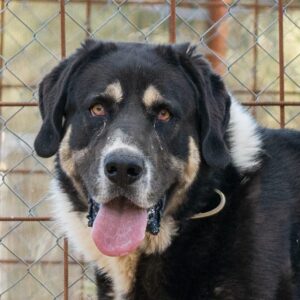 Billy-7-e1683842745795