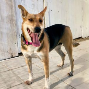 Simona-1-e1702234705948