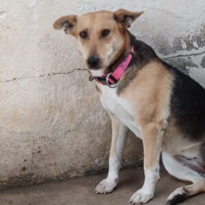 Simona-3-e1702234667128