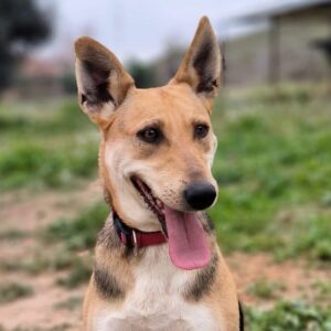 Simona-4-e1702234821133