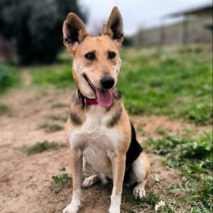 Simona-5-e1702234776989