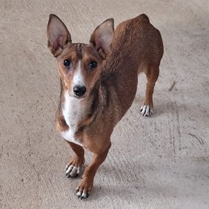 Adopta a Ría