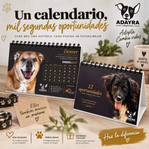Calendario solidario sobremesa