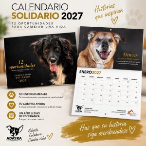 Calendario solidario de pared