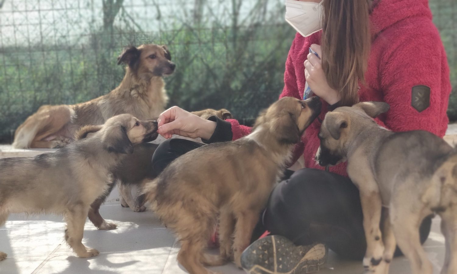 IMG_20210218_143005-scaled IMG_20210218_143005-scaled