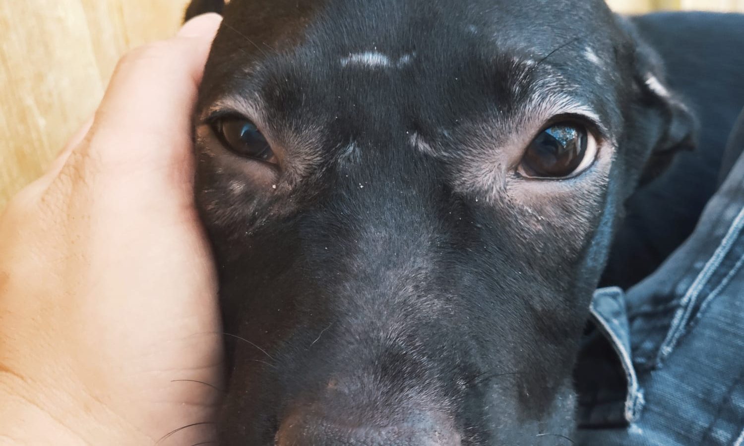 WhatsApp-Image-2021-10-01-at-18.07.32-1 WhatsApp-Image-2021-10-01-at-18.07.32-1